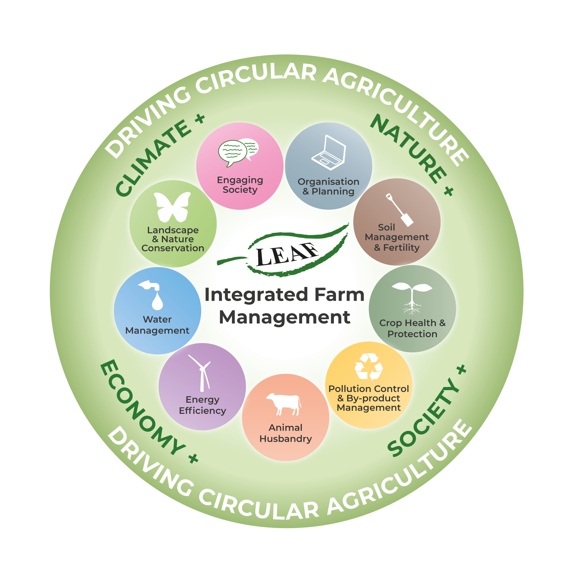 IFM Wheel